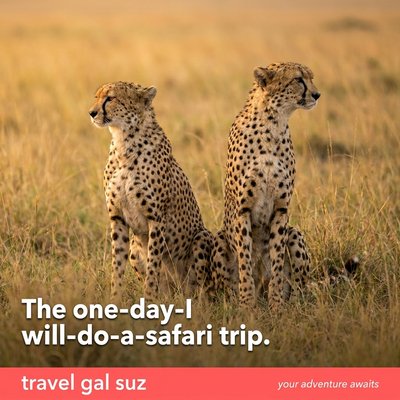 Cheetahs on the Serengeti during Travel Gal Suz Tanzania safari